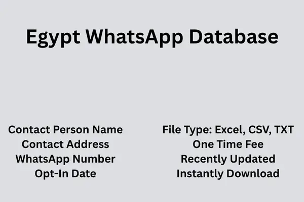 Egypt whatsapp database